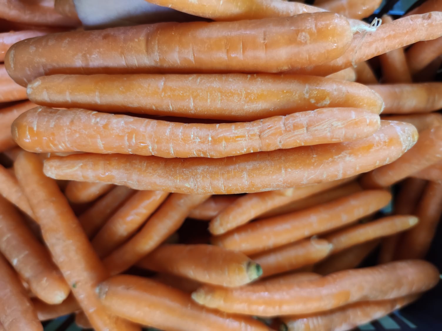 Carote 2,40€ al Kg