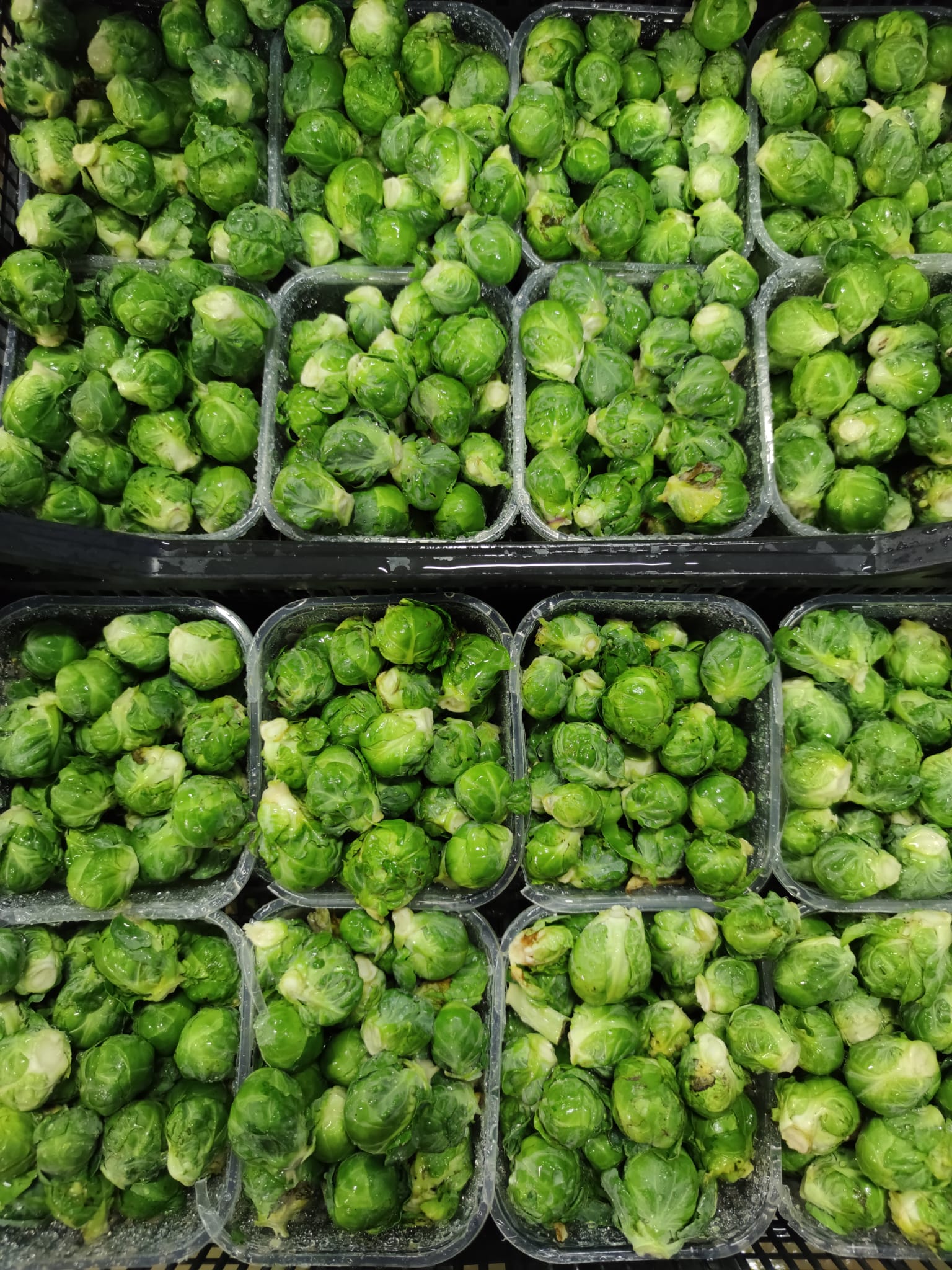 Cavolo Bruxelles 3,50 € al pezzo (cestino da 350g)